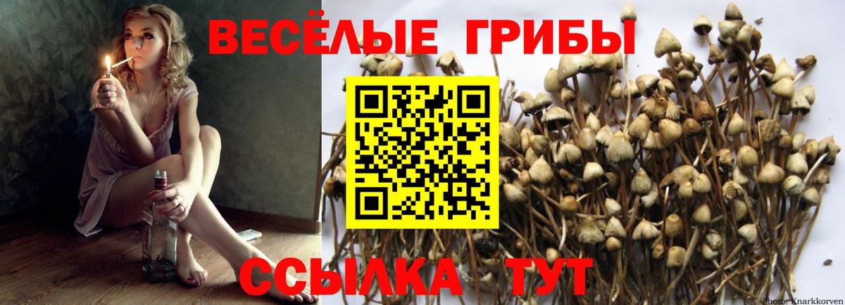 Псилоцибиновые грибы MAGIC MUSHROOMS Заволжье