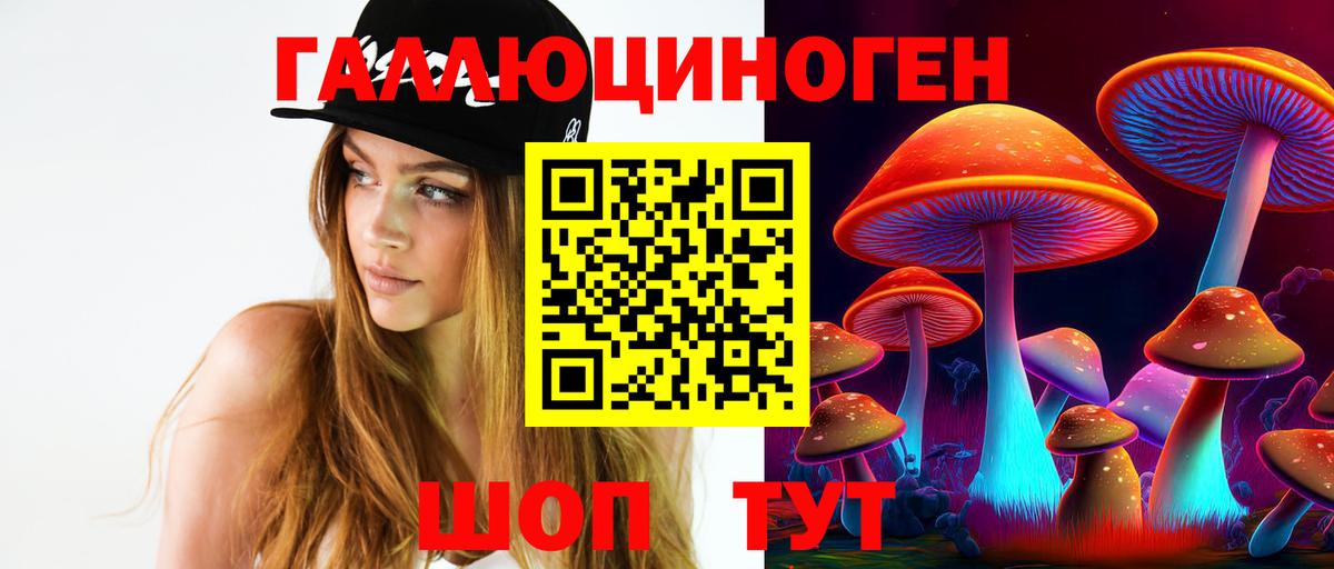 сколько стоит  Галлюциногенные грибы Magic Shrooms  Галлюциногенные грибы GOLDEN TEACHER  Вход с VPN  Заволжье 